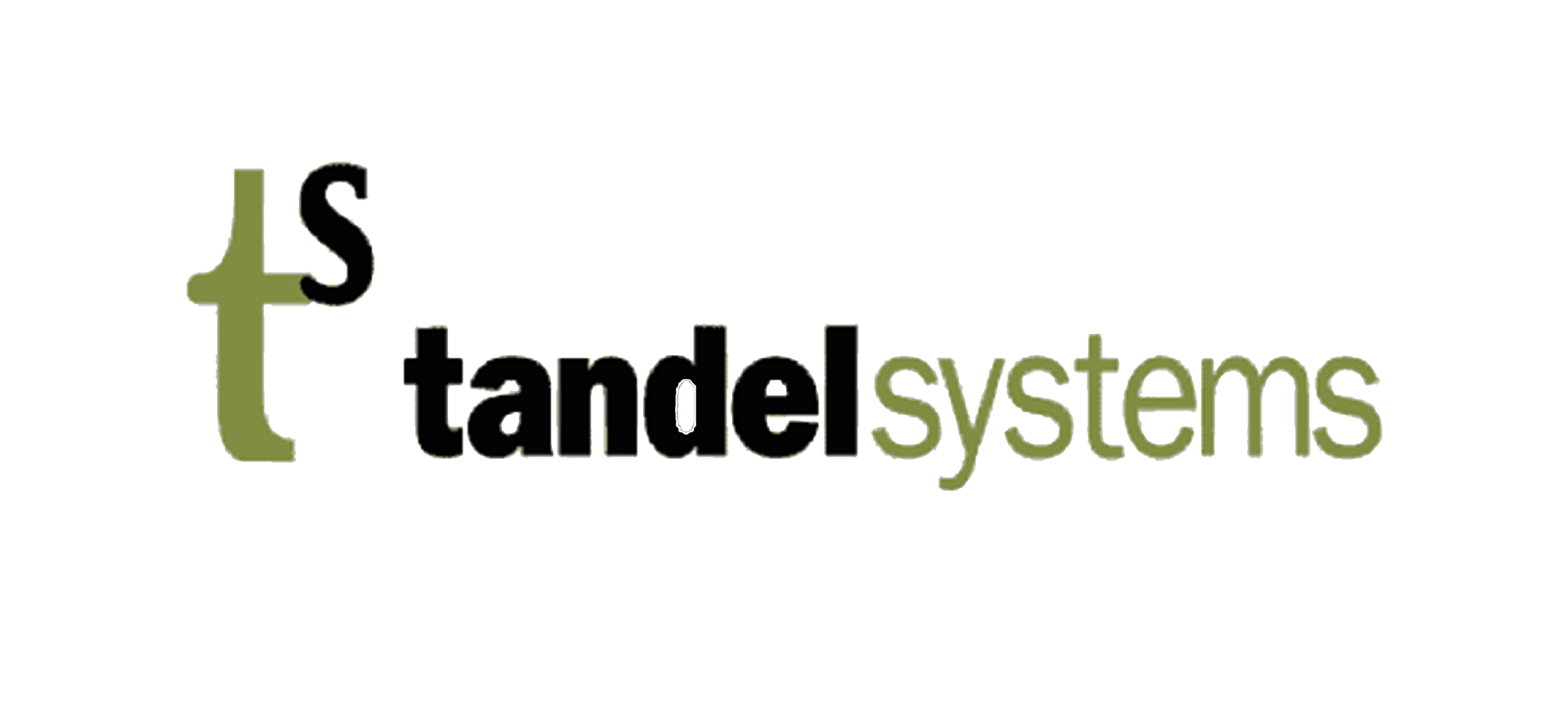tandal systems